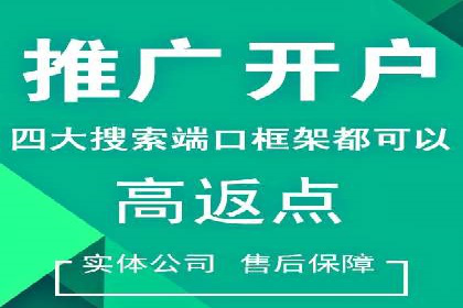 行业领先企业的信息流竞价策略揭秘